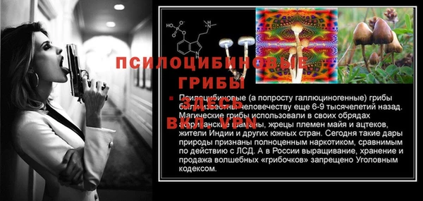 mdma Дмитровск